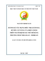 Đánh giá tác dụng Điều trị giảm Đau, bí tiểu cơ năng của Điện châm trên người bệnh sau mổ trĩ bằng phương pháp milligan   morgan