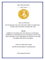 Đề tài nghiên cứu khoa học: Hành vi sẵn sàng trả giá cao cho trải nghiệm bữa ăn Fine dining tại các nhà hàng tại Việt Nam: Một cách tiếp cận dựa trên khung lý thuyết về các hiệu ứng trong tiêu dùng sang trọng