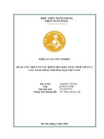 Khóa luận tốt nghiệp Ngân hàng: Các nhân tố tác động đến khả năng sinh lời của các ngân hàng thương mại Việt Nam