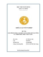Khóa luận tốt nghiệp Tài chính: Giải pháp nâng cao khả năng sinh lời tại Công ty TNHH MING SHIN (Việt Nam)