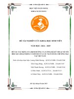 Đề tài nghiên cứu khoa học: Tác động của định hướng và cường độ kỹ thuật số tới hiệu quả hoạt động và rủi ro của các ngân hàng thương mại tại Việt Nam