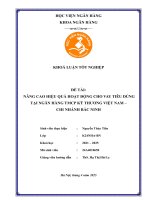 Khóa luận tốt nghiệp Ngân hàng: Nâng cao hiệu quả hoạt động cho vay tiêu dùng tại Ngân hàng TMCP Kỹ thương Việt Nam - Chi nhánh Bắc Ninh