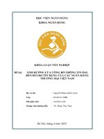 Khóa luận tốt nghiệp Ngân hàng: Ảnh hưởng của công bố thông tin ESG đến rủi ro tín dụng của các ngân hàng thương mại tại Việt Nam
