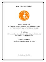 Đề tài nghiên cứu khoa học: Tác động của năng lực đổi mới sáng tạo đến hiệu quả hoạt động của doanh nghiệp