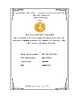 Khóa luận tốt nghiệp Ngân hàng: Giải pháp nâng cao hiệu quả hoạt động cho vay đối với các doanh nghiệp vừa và nhỏ tại Ngân hàng TMCP Tiên Phong - chi nhánh Đông Đô