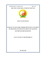 Đánh giá tác dụng Điều trị hội chứng thắt lƣng hông do thoái hóa cột sống bằng Điện xung tại huyệt kết hợp xoa bóp bấm huyệt