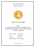 Khóa luận tốt nghiệp Ngân hàng: Giải pháp nâng cao hiệu quả huy động vốn tại Ngân hàng Nông nghiệp và Phát triển nông thôn Việt Nam – Agribank