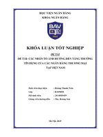 Khóa luận tốt nghiệp Ngân hàng: Các nhân tố ảnh hưởng đến tăng trưởng tín dụng của các ngân hàng thương mại tại Việt Nam