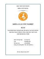 Khóa luận tốt nghiệp Ngân hàng: Giải pháp hạn chế rủi ro tín dụng tại Ngân hàng Thương mại Cổ phần Công thương Việt Nam - Chi nhánh Bắc Ninh