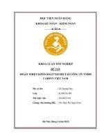 Khóa luận tốt nghiệp Kế toán kiểm toán: Hoàn thiện kiểm soát nội bộ tại Công ty TNHH Cariny Việt Nam