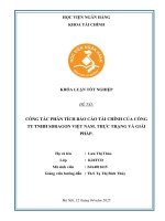 Khóa luận tốt nghiệp Tài chính: Công tác phân tích báo cáo tài chính của Công ty TNHH SDRAGON Việt Nam. Thực trạng và giải pháp