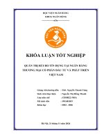 Khóa luận tốt nghiệp Ngân hàng: Quản trị rủi ro tín dụng tại Ngân hàng Thương mại cổ phần Đầu tư và Phát triển Việt Nam