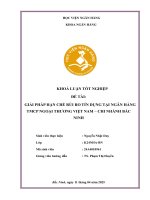 Khóa luận tốt nghiệp Ngân hàng: Giải pháp hạn chế rủi ro tín dụng tại Ngân hàng TMCP Ngoại thương Việt Nam - Chi nhánh Bắc Ninh