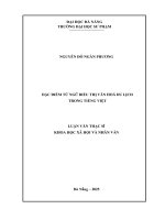 Đặc Điểm từ ngữ biểu thị văn hoá du lịch trong tiếng việt
