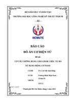 Báo cáo Đồ Án cơ Điện tử Đề tài cơ cấu chống rung cho lidar 3 bậc tự do sử dụng Động cơ xoay