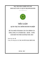Phân tích báo cáo tài chính của tổng công ty cổ phần bia – rượu – nước giải khát hà nội giai Đoạn 2022–2024