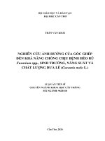 Nghiên cứu Ảnh hưởng của gốc ghép Đến khả năng chống chịu bệnh héo rũ fusarium spp , sinh trưởng, năng suất và chất lượng dưa lê (cucumis melo l )