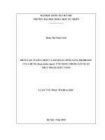 Luận văn thạc sỹ khoa học phân lập, tuyển chọn và Đánh giá tiềm năng probiotic của chủng shouchella clausii Ứng dụng trong sản xuất thực phẩm chức năng