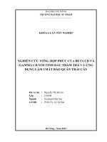 Nghiên cứu tổng hợp phức của beta cd và gamma cd với tinh dầu tràm trà và Ứng dụng làm chất bảo quản trái cây