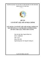 Xây dựng cơ sở dữ liệu hồ sơ Địa chính tờ bản Đồ số 20, 21 tại Địa bàn xã bình ninh, huyện chợ gạo, tỉnh tiền giang