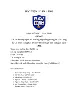 Đề tài phòng ngừa rủi ro bằng hợp Đồng tương lai của công ty cổ phần vàng bạc Đá quý phú nhuận trên sàn giao dịch cme