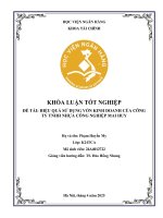 Khóa luận tốt nghiệp Tài chính: Hiệu quả sử dụng vốn kinh doanh của Công ty TNHH Nhựa công nghiệp Mai Huy
