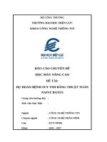 Báo cáo chuyên Đề học máy nâng cao Đề tài dự Đoán bệnh suy tim bằng thuật toán naive bayes