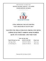 Nguyên tắc polluter pays trong xây dựng chính sách thuế carbon kinh nghiệm quốc tế và bài học cho việt nam
