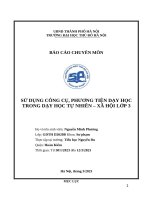 Sử dụng công cụ, phương tiện dạy học trong dạy học tự nhiên – xã hội lớp 3