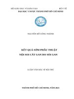 Kết quả sớm phẫu thuật nội soi cắt gan do sỏi gan