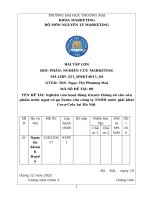 Đề tài nghiên cứu hoạt Động truyền thông số cho sản phẩm nước ngọt có ga fanta của công ty tnhh nước giải khát coca cola tại hà nội