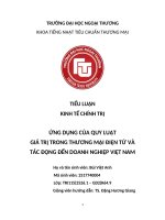 Ứng dụng của quy luật giá trị trong thương mại Điện tử và tác Động Đến doanh nghiệp việt nam