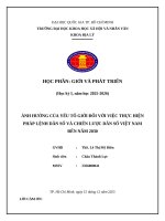 Ảnh hưởng của yếu tố giới Đối với việc thực hiện pháp lệnh dân số và chiến lược dân số việt nam Đến năm 2030