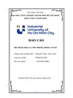 MÔ HÌNH HÓA VÀ MÔ PHỎNG ĐỘNG CƠ DC