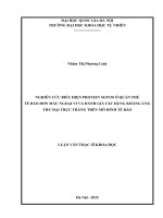 Luận văn thạc sỹ khoa học: nghiên cứu biểu hiện protein sgp130 Ở quần thể Đơn nhân máu ngoại vi và Đánh giá tác dụng kháng ung thư Đại trực tràng trên mô hình tế bào