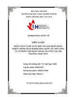 Phân tích và Đề xuất một số giải pháp hoàn thiện chính sách marketing quốc tế cho công ty cổ phần tập Đoàn trung nguyên tại thị trường nhật bản