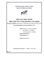 Báo cáo thực hành môn tiền tệ và thị trường tài chính tên công ty phân tích tổng công ty cổ phần phân bón và hóa chất dầu khí ctcp tên mã chứng khoán của công ty phân tích dpm