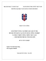 Giải pháp nâng cao hiệu quả quản trị rủi ro tín dụng tại ngân hàng nông nghiệp và phát triển nông thôn việt nam  chi nhánh trung tâm sài gòn
