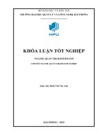 Giải pháp nâng cao hiệu quả sử dụng nhân lực tại công ty cổ phần thương mại chính nghĩa