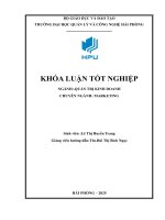Chiến lược marketing mix của petrolimex gas Đánh giá thực trạng và Định hướng hoàn thiện