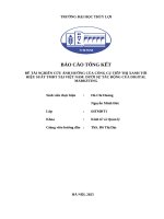 Đề tài nghiên cứu Ảnh hưởng của công cụ tiếp thị xanh tới hiệu suất tmđt tại việt nam dưới sự tác Động của digital marketing