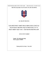 Giải pháp phát triển hoạt Động bảo lãnh tại ngân hàng thương mại cổ phần Đầu tư và phát triển việt nam chi nhánh trường sơn