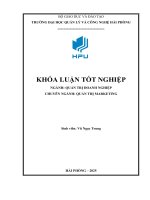 Nghiên cứu thực trạng và giải pháp hoàn thiện plan social tại công ty cổ phần du lịch vietravel   chi nhánh hải phòng