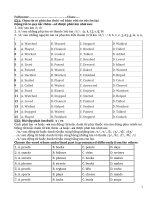 Đuô i  ed  hs tổng hợp