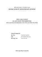 KẾ HOẠCH MARKETING CHO XOÀI CÁT NÚM VŨNG LIÊM