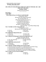 Đề thi giữa kì 1 môn ngữ văn lớp 6 - sách Cánh Diều