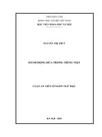 Hành Động hứa trong tiếng việt