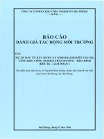 Báo cáo dtm dự Án Đầu tư xây dựng và kinh doanh kết cấu hạ tầng khu công nghiệp trấn dương – hòa bình (khu b) – giai Đoạn 1