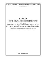 Báo cáo dtm Đầu tư xây dựng và kinh doanh hạ tầng kỹ thuật khu công nghiệp nam bình xuyên