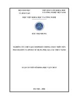 Nghiên cứu chế tạo compozit chống cháy trên nền polyolefin và epoxy sử dụng phụ gia cấu trúc nano